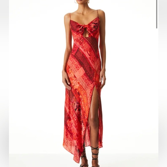 Alice and Olivia Harmony midi dress - Picture 14 of 16